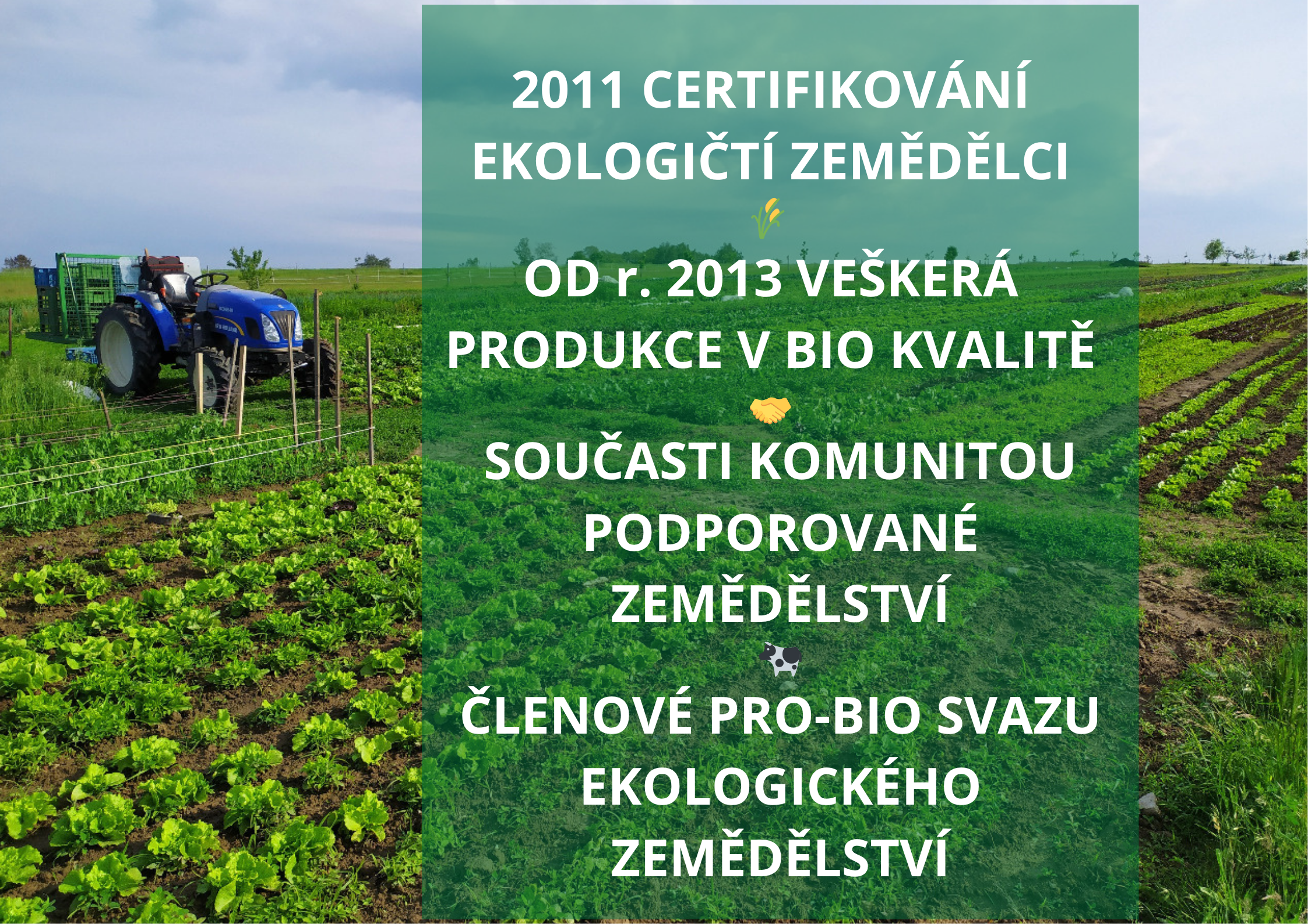 podporuje funkci štítné žlázy (11)